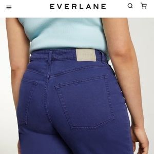 Everlane The Curvy Way-High Jean - 31 tall